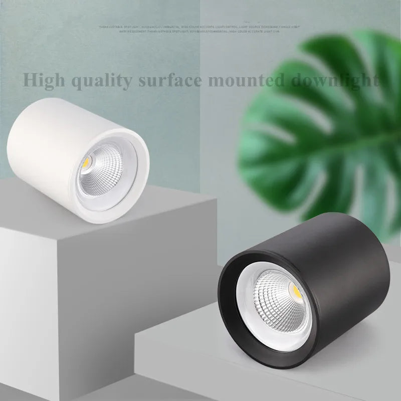 Plafonnier Led Dimmable Spot Lumière Vers Le Bas Décoration
