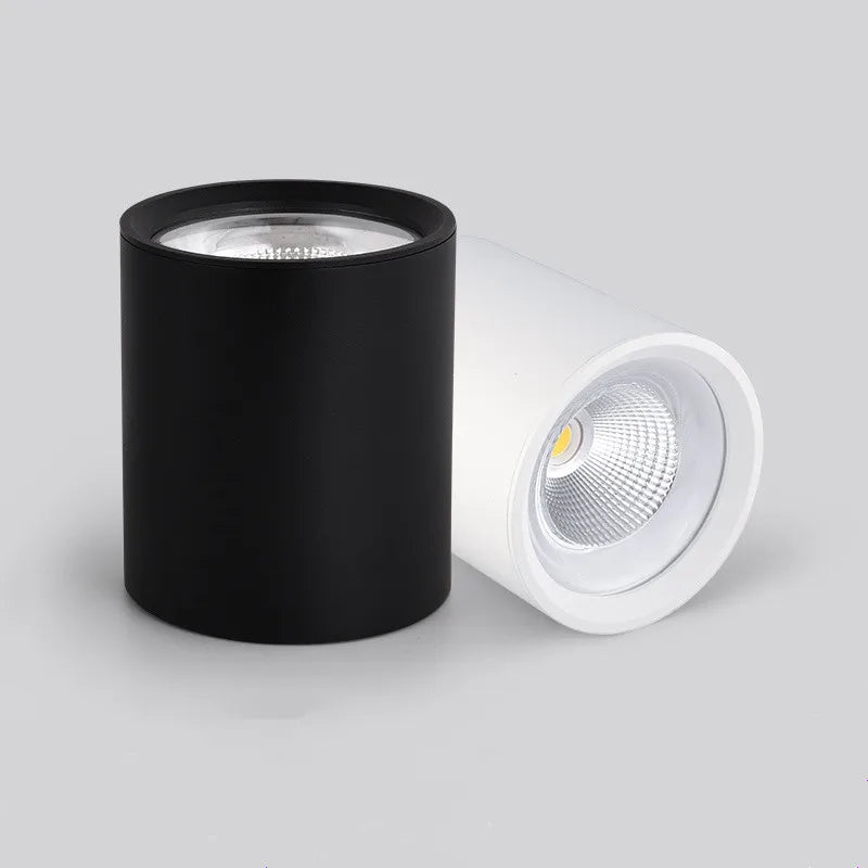 Plafonnier Led Dimmable Spot Lumière Vers Le Bas Décoration