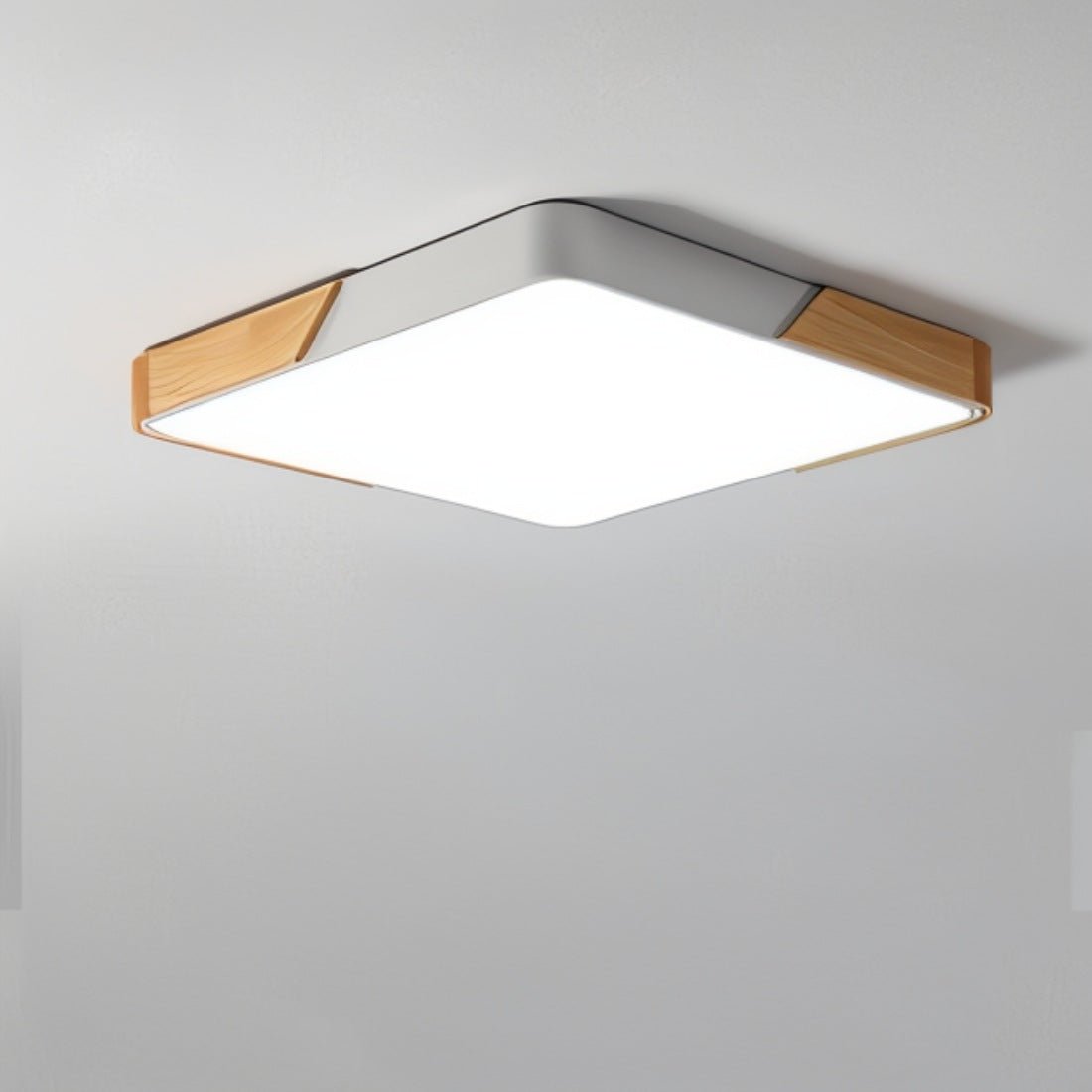 Delphi - Lampe De Plafond