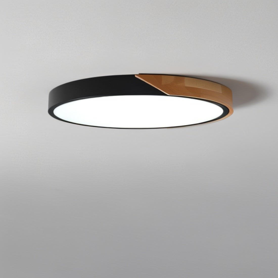Delphi - Lampe De Plafond