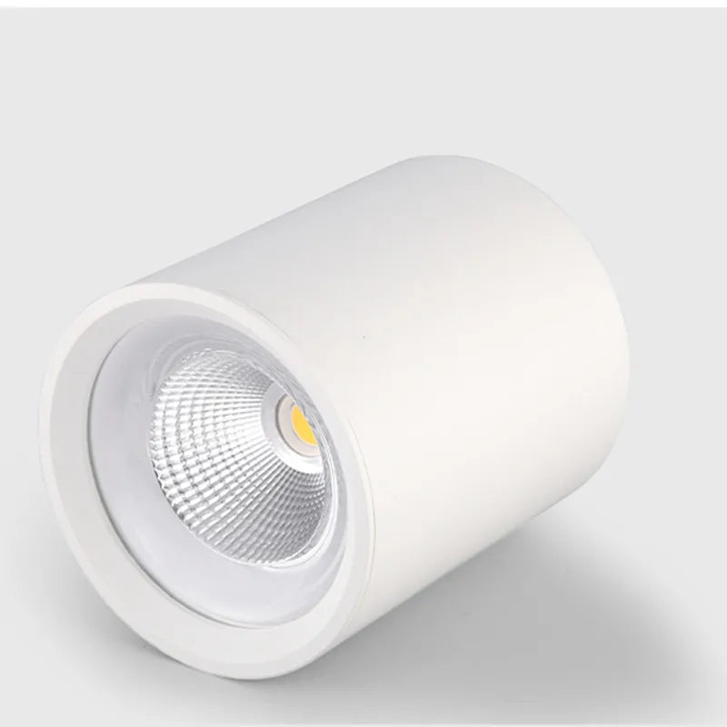 Plafonnier Led Dimmable Spot Lumière Vers Le Bas Décoration