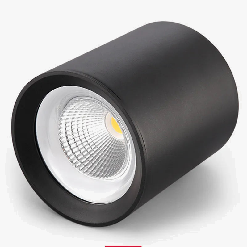 Plafonnier Led Dimmable Spot Lumière Vers Le Bas Décoration