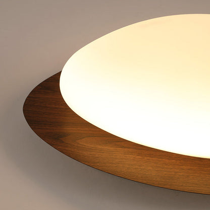 Plafonnier Led En Acrylique En Forme De Galet Scandinave Contemporain Pour Chambre À Coucher