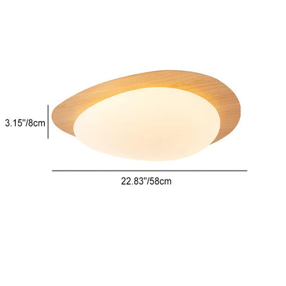 Plafonnier Led En Acrylique En Forme De Galet Scandinave Contemporain Pour Chambre À Coucher