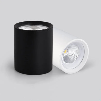 Plafonnier Led Dimmable Spot Lumière Vers Le Bas Décoration