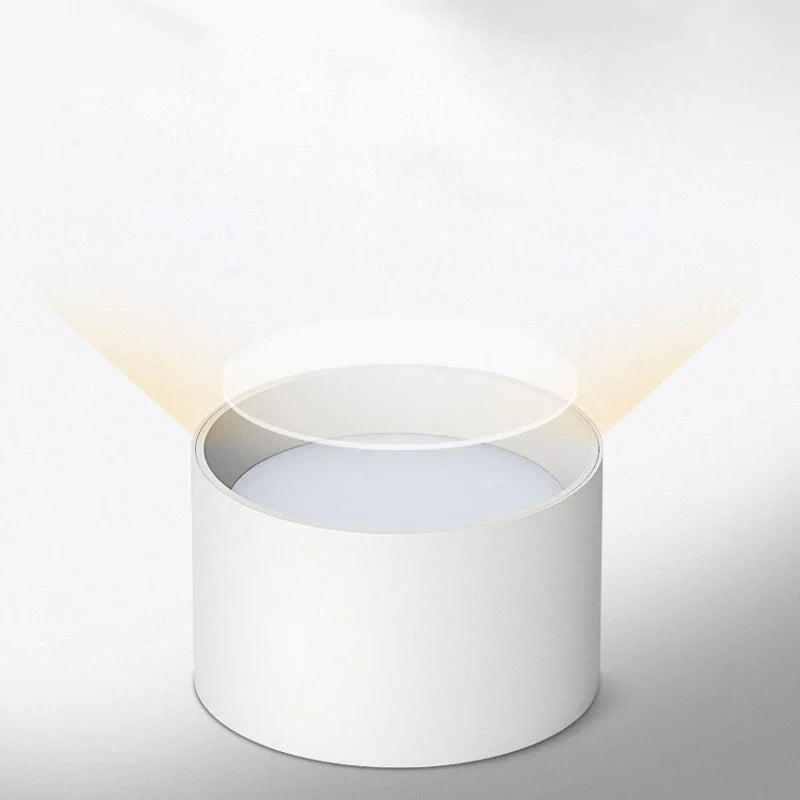 Plafonnier Led Spot Monté En Surface De Haute Qualité