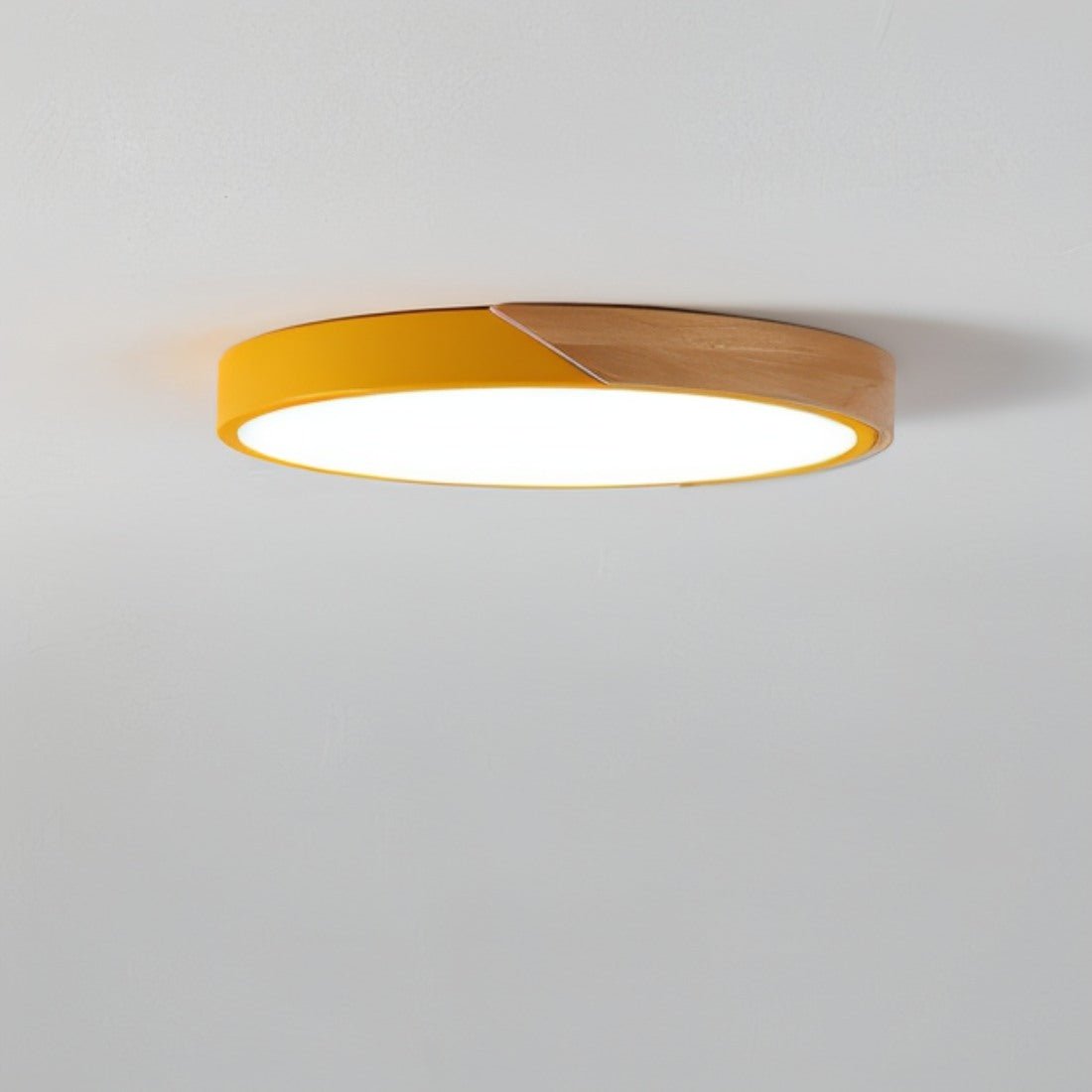 Delphi - Lampe de plafond