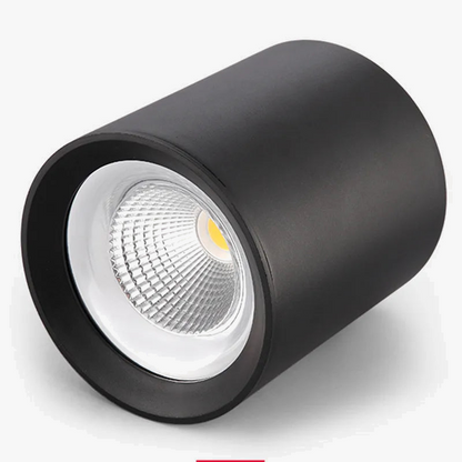 Plafonnier Led Dimmable Spot Lumière Vers Le Bas Décoration