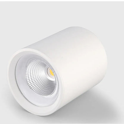 Plafonnier Led Dimmable Spot Lumière Vers Le Bas Décoration